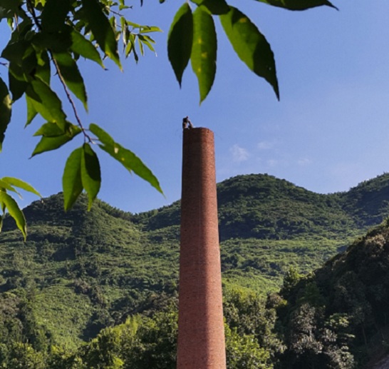 1717377673809642.jpg 26e459345da7bb6ee72b97828c5620d.jpg