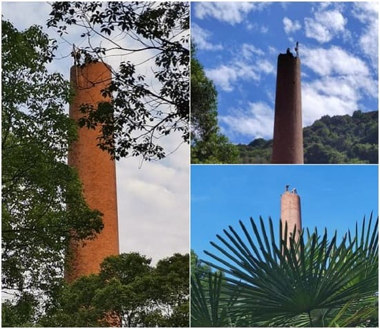 煙囪拆除公司:安全至上,服務(wù)至誠(chéng)